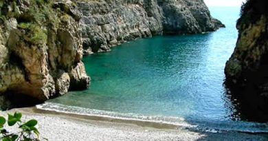 Profumo di Primavera Soggiorno in penisola sorrentina con eventuali escursioni 1 – 14 marzo 2025